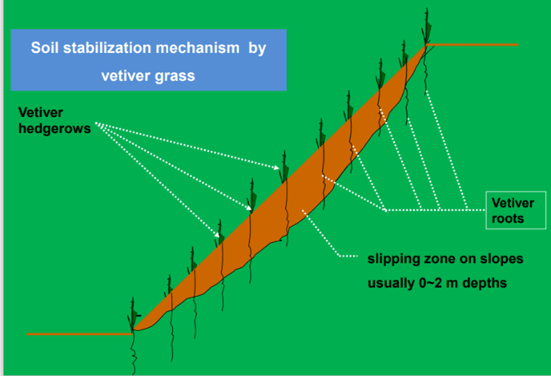 Slope on the Non Wet Area - The Engineer's Blog