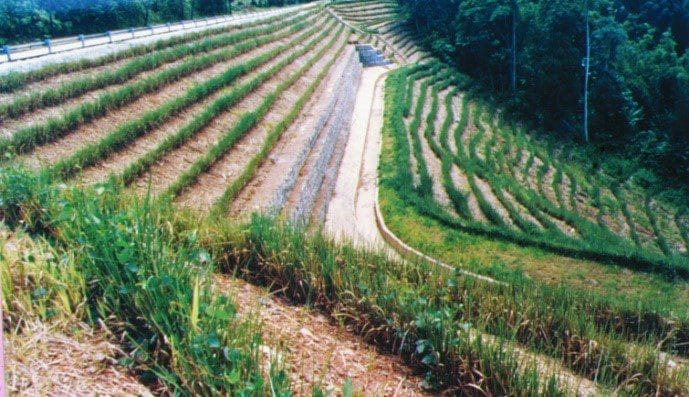 Highway fill slope stabilization